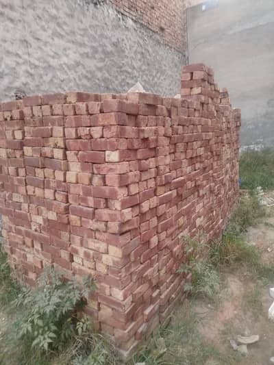 Einten bricks for construction awal eint ha