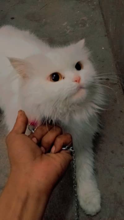 0.3. 2.9. 7.9. 1.2. 4.3. 6.