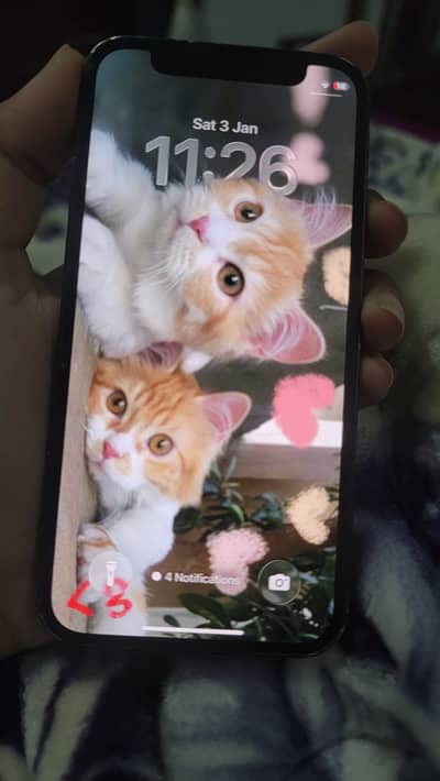 iPhone 12 mini Factory unlock