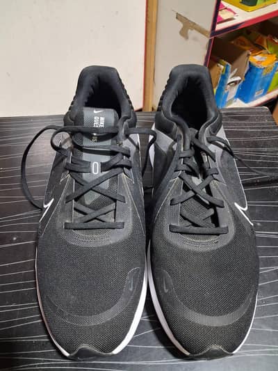 Nike Quest 05 (Joggers)