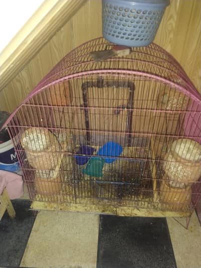 metal cage 2x2.5 feet