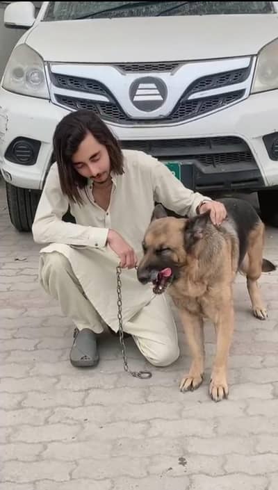 available for sell jarmn safed