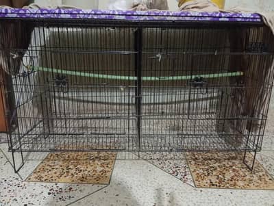 cage for sale or 1 cage 2 khan wale ha bhai
