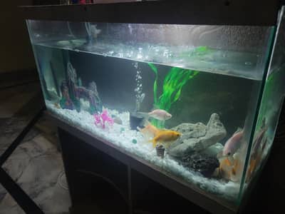 3ft Fish Aquarium