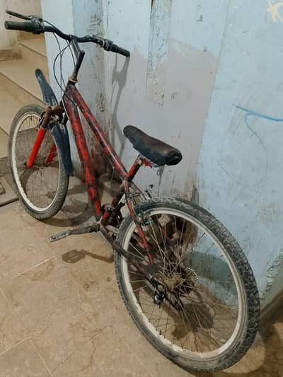 USA Imported gear cycle