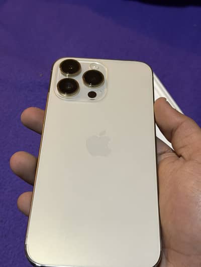 14 pro max Official PTA Approved