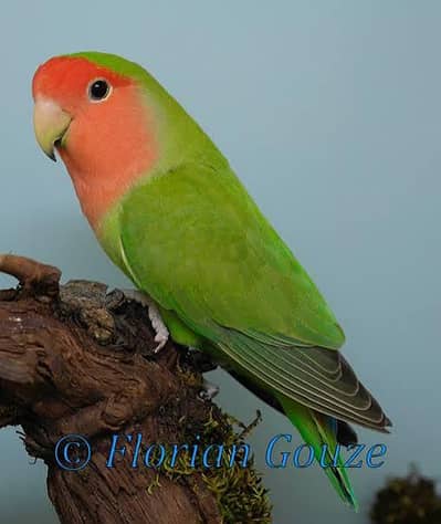 jis bhi ny lyny ha vo rabta kary sirf