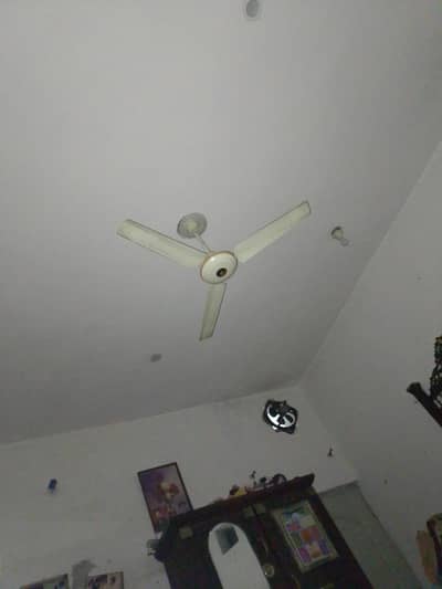ceiling fans 5