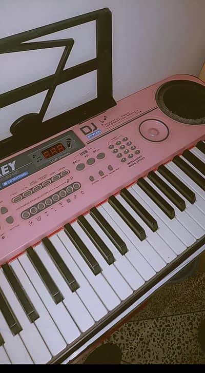 LIJIN piano 61 keys original