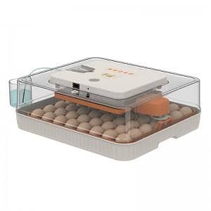 Full Automatic AC/DC Eggs Incuabtor 56 Eggs 70 Eggs Wonegg HHD