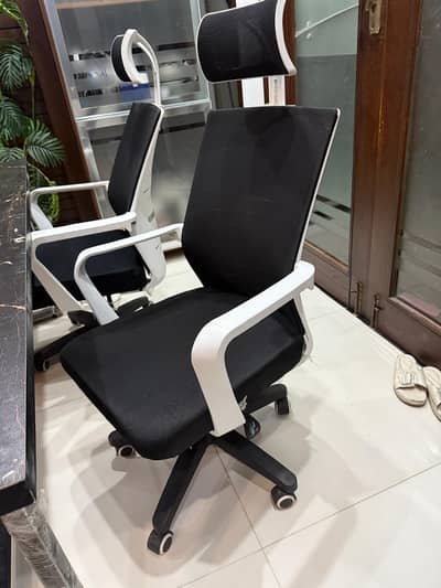Office Rotating Chairs
