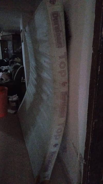 want to sale matrees