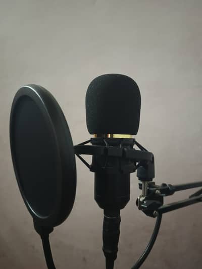 BM 800 Condenser Mic with V8 Sound Card