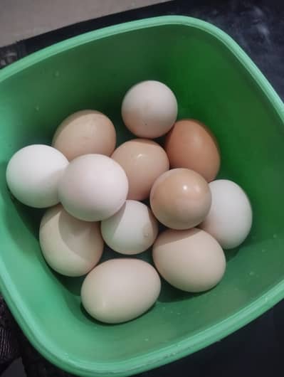 Ghar ki murgion k fertile eggs for sale