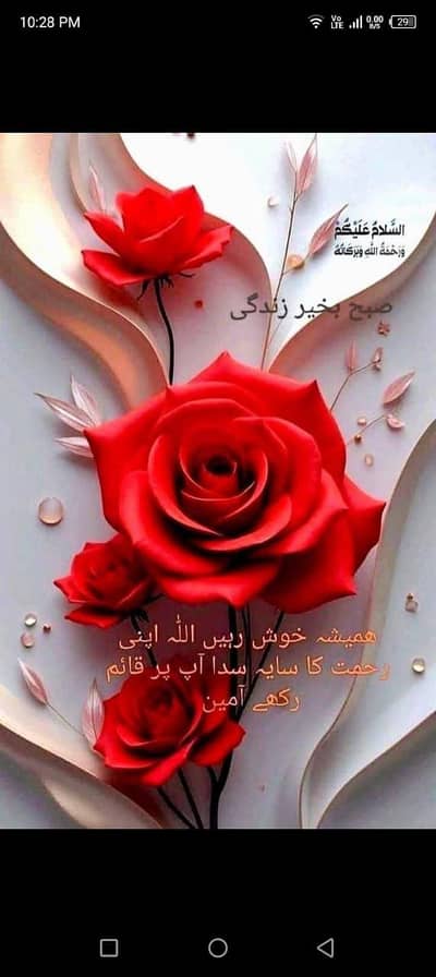 wax hair removal  services For Female only