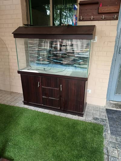 Fish aquarium