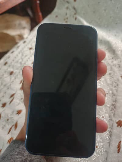 Apple iPhone 12 mini