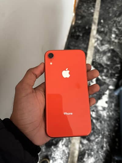 iPhone XR  Pta Approved