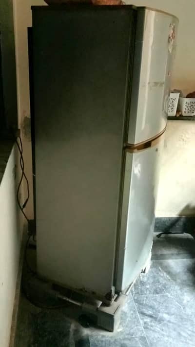 pel fridge perfect condition