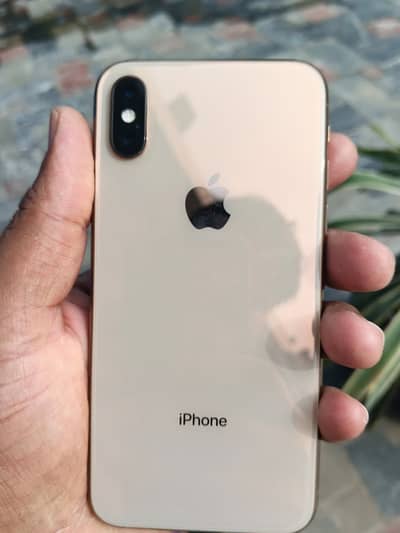 iphone xs