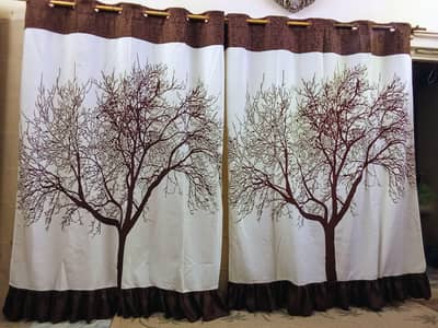 pair of Elegant curtains