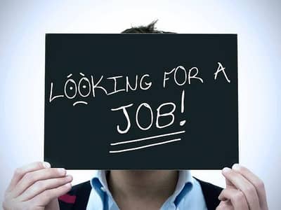 Mujhe  job chahie ha  koi bi job ho ma kr lo ga