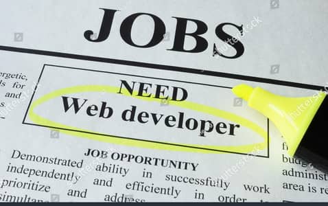 Need web developer