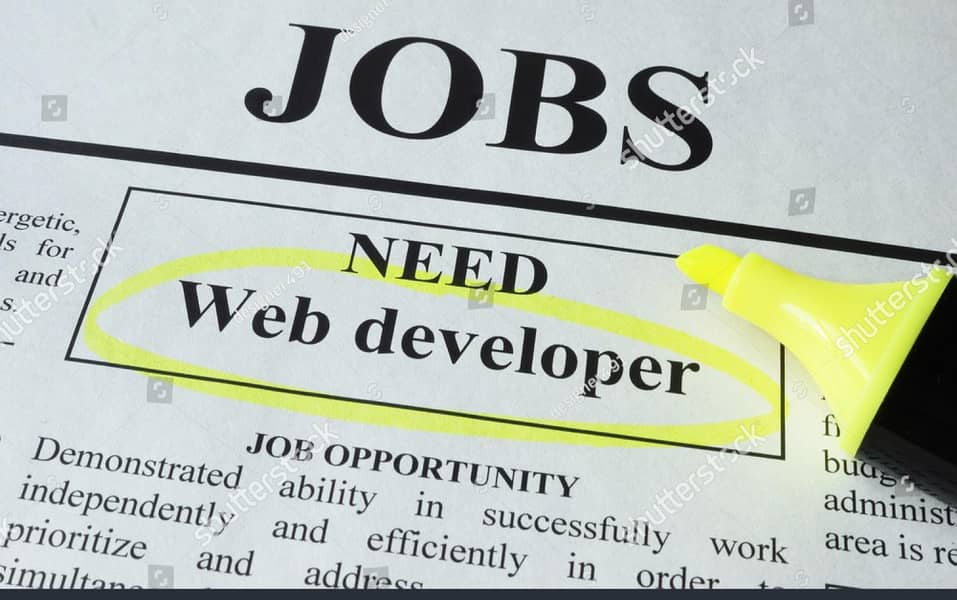 Need web developer 0
