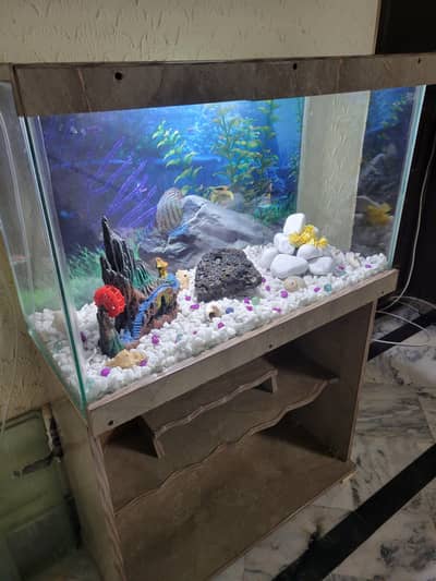 2.5ft Fish Aquarium