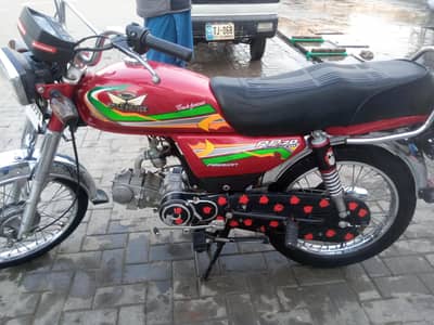 only Whatsapp contact