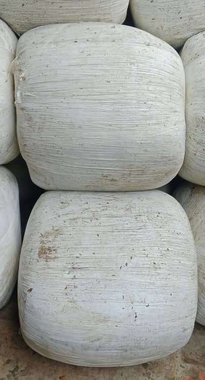 Asslamu alaikum Salleg Lana ka Lia rabta Kara bhatreen Salleg