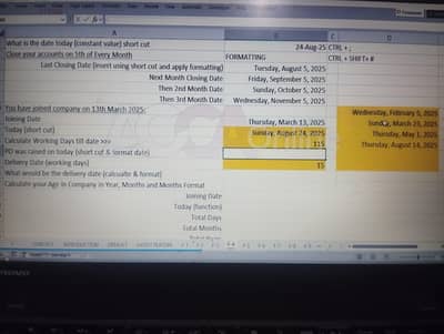 Basic to Advanced MS Excel Course