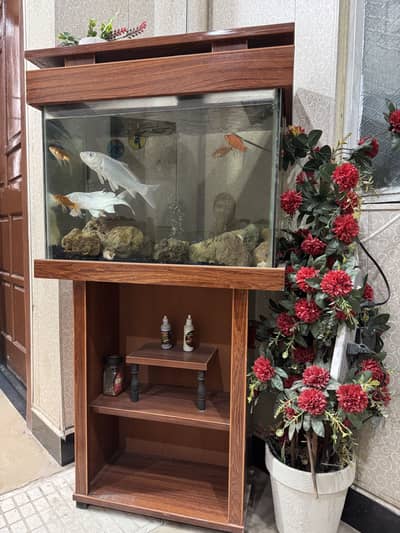 Fish tank / Aquarium with koi and gold fishes