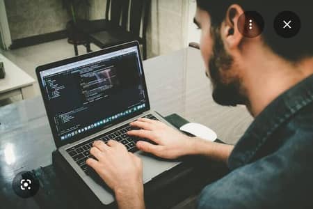 need an experienced web developer