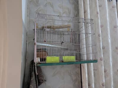 Birds CAGE