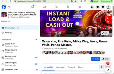 USA Based Facebook group for sale 239k plus members