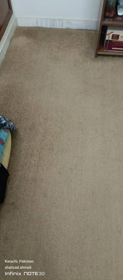 use carpet hai 12/16 ka