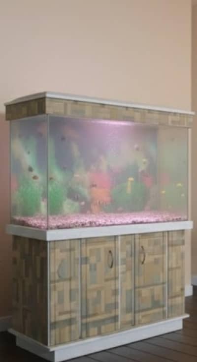 fish aquarium in excellent condition