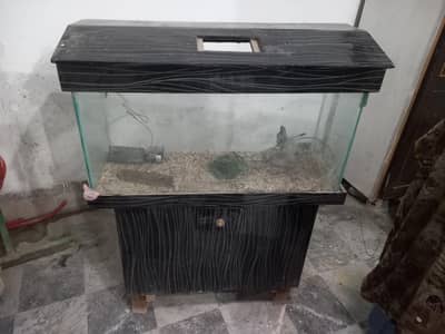 Aquarium 36inch