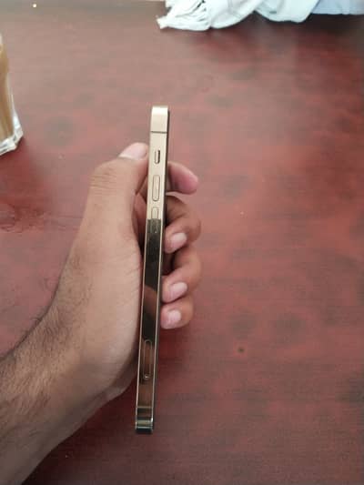 I phone 12 pro PTA approved physical and E sim