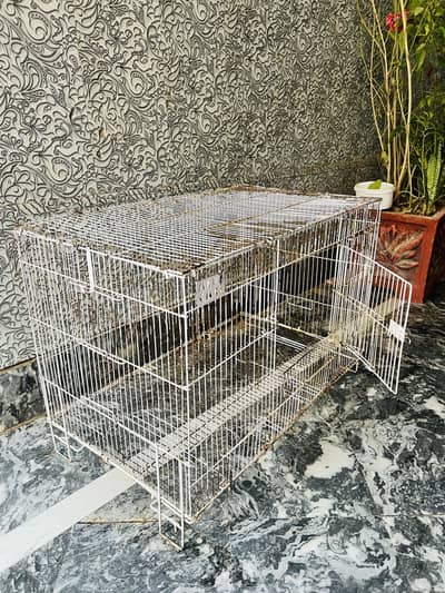 Parrots and Cat Cage for sale
