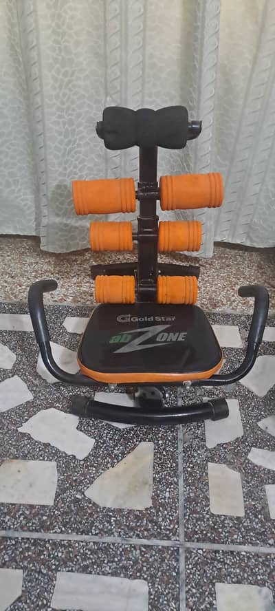 Back exercise machine. Gold star company