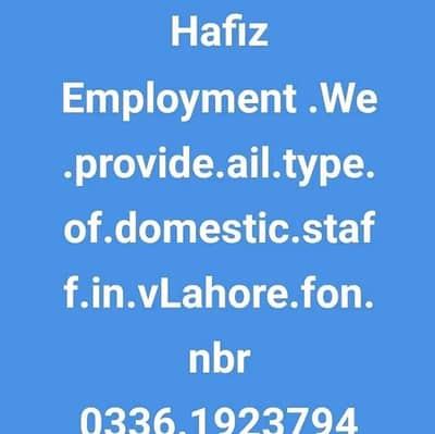 Hafiz Employment