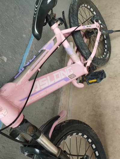 Bicycle for Sale  Excellent Condition 10/10.