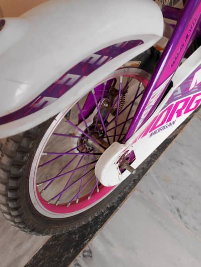 Morgan 20 Baby girl cycle