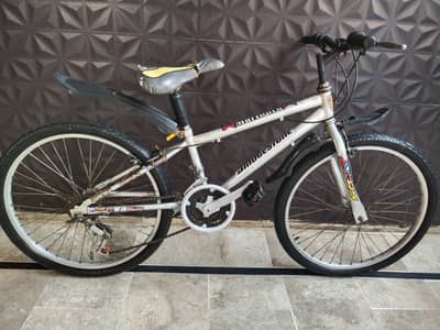 Double gear Cycle 20 inch