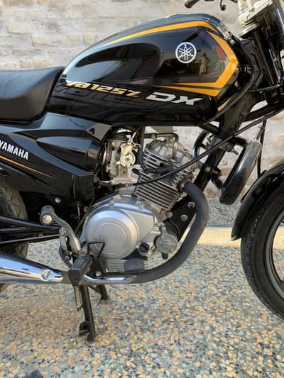 YAMAHA YBZ DX 2024
