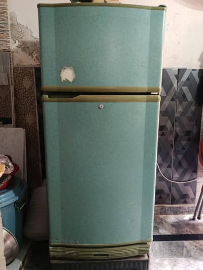 Pel Fridge Fior Sale