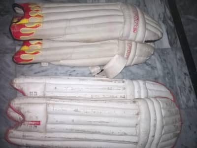 12/14 Years Boys Hard ball Cricket Pads