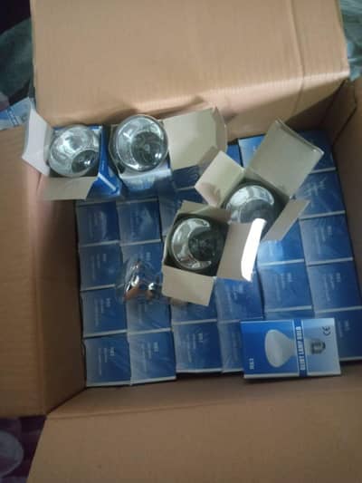 60 watt helogen heating bulb in best quality